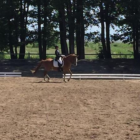 Sassi Talu Horsefarm Otel Parnumaa Dış mekan fotoğraf