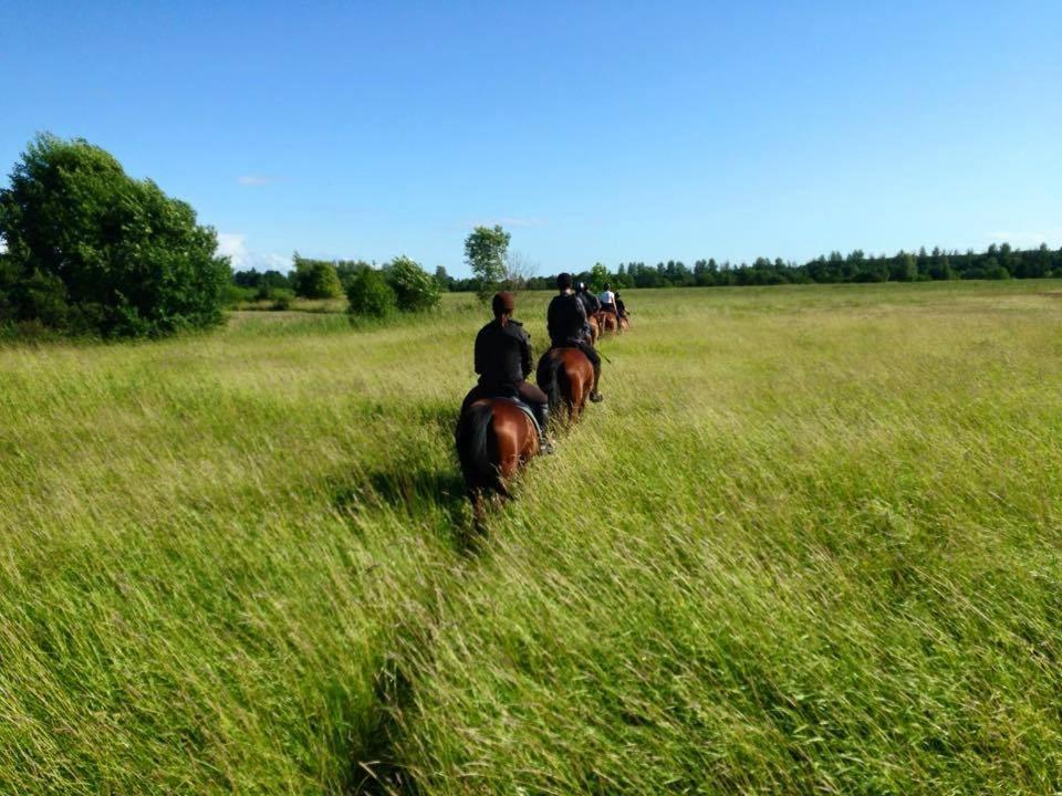 Sassi Talu Horsefarm Otel Parnumaa Dış mekan fotoğraf