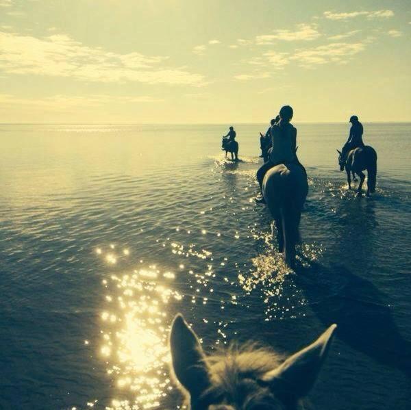 Sassi Talu Horsefarm Otel Parnumaa Dış mekan fotoğraf