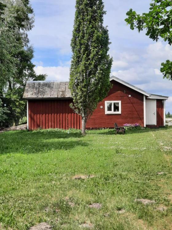 Sassi Talu Horsefarm Otel Parnumaa Dış mekan fotoğraf